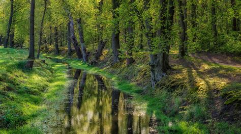 green abundance stan schaap photography
