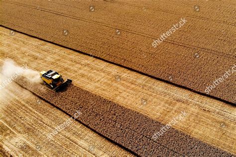 farmer harvesting grain field cereals editorial stock photo stock
