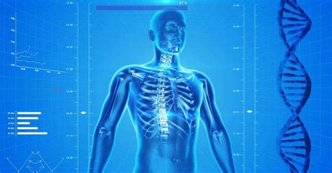 Coisas Sobre O Corpo Humano - 15 Curiosidades sobre o Corpo Humano - Toda Matéria