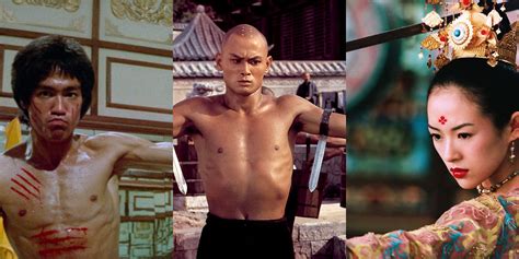 Ip Man: Kung Fu Legend Will See The Return of A Martial Arts Pro in the