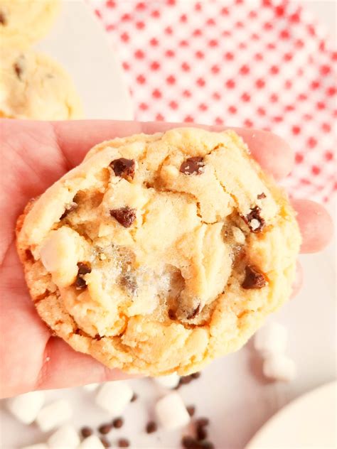 Easy S'mores Cookie Recipe - Couch Potato Camping