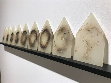 Artist Spotlight: Mayme Kratz – Tucson Museum of Art