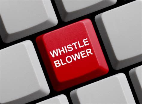 The Whistleblower's Brave Act: The McKinley Richardson Disclosure