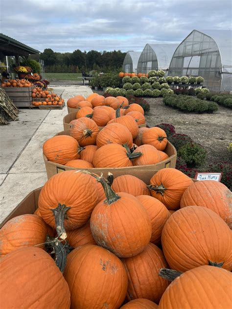 Uncle Benny's Farm added a new photo. - Uncle Benny's Farm