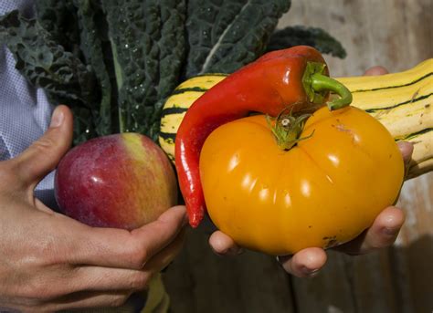 Veggie Rx: using food as medicine - Better the Future