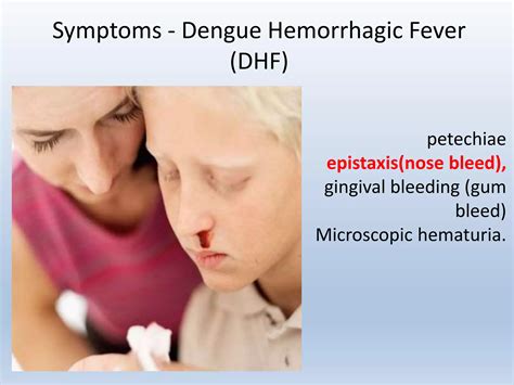 Dengue and Dengue Hemorrhagic Fever