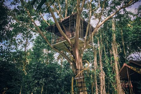 Rekreasi Taman Botani Jember: Harga Tiket dan Wahana Terbaru 2023