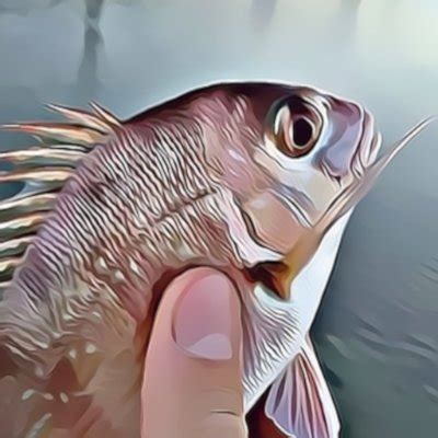 squawk  atsquawk twitter