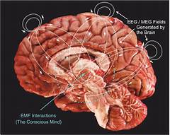 Simcha Spot What They Discovered Will Baffle Your Mind