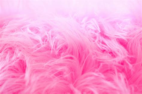 1000+ Great Pink Photos · Pexels · Free Stock Photos