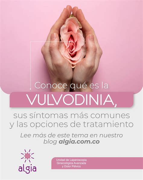 Conoce qué es la vulvodinia, sus síntomas más comunes y las opciones de