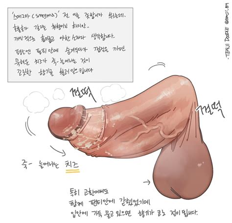 rule  boy anatomically correct anatomy big penis close  close