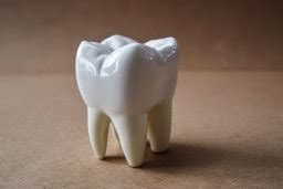 images  tooth  unique  high quality