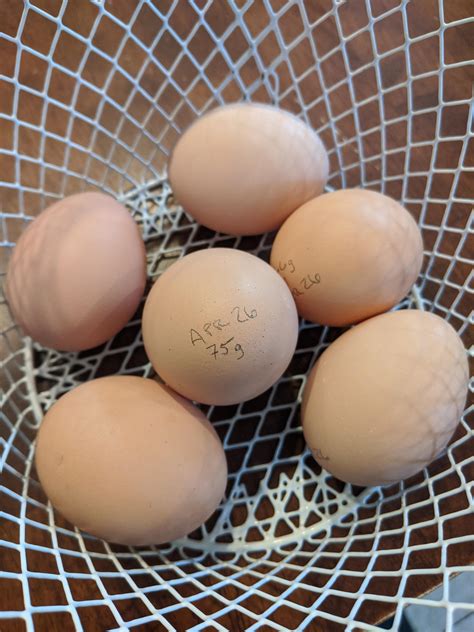 How do you label/date your eggs? : r/BackYardChickens