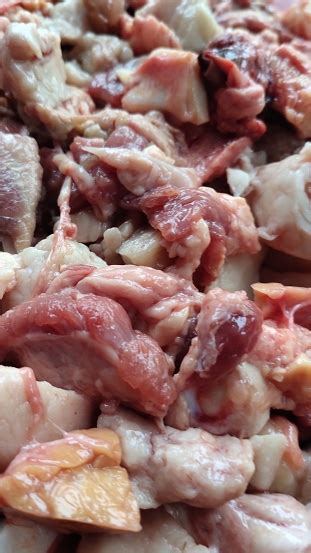 beef head stock photo  image  beef color image food