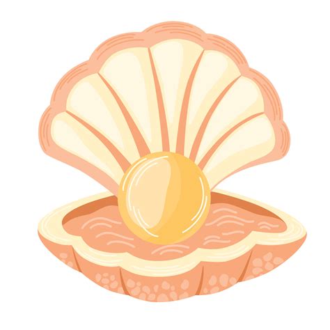 clam drawing 1