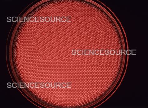 crystalline structure stock image science source images