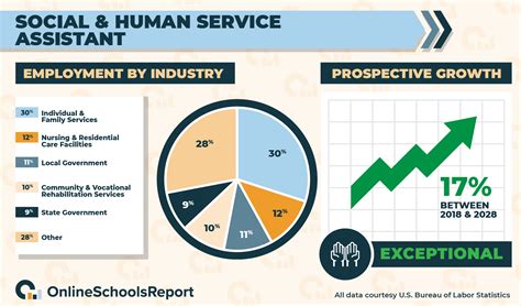 ultimate guide  human services  schools report