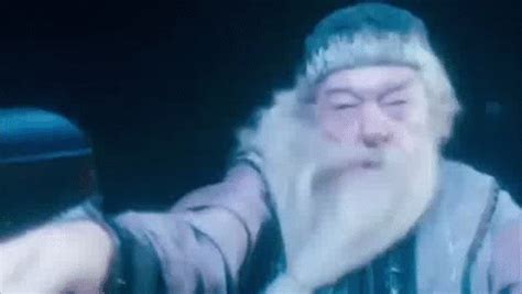 harry potter dumbledore gif | WiffleGif