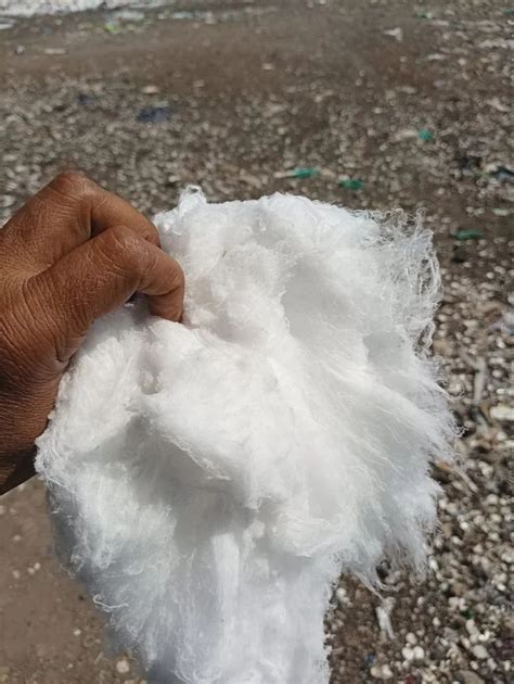 raw macro polypropylene fiber  construction grade   rs kg