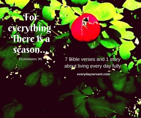 70 Bible Verses Describing Heaven - Everyday Servant