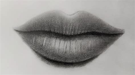 How to draw a realistic lips -step by step for beginners - YouTube