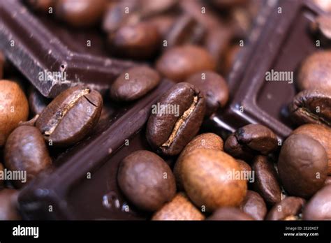 Close-up of dark roasted coffee beans and chocolate background. Aromatic coffee grains and sweet ...