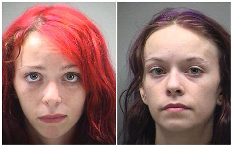 Is This the Smoking Gun? The Burch Twins and the Shestorys Privacy Breach - ryutqe6