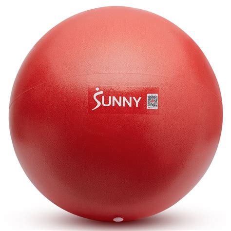 sunny health and fitness exercise bike 10