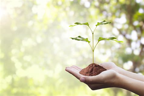 growing  purpose    matters emily rogers consulting