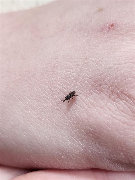 A state-by-state look at how many Menards stores are there today 1