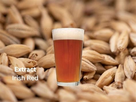 irish red ale  gallon extract home brewing recipes