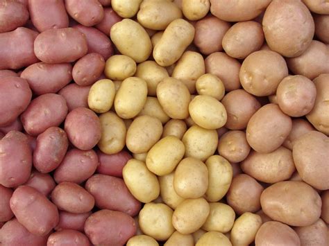 potatoes