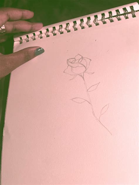 Loveds fashion lines are selling out in high-end stores 4