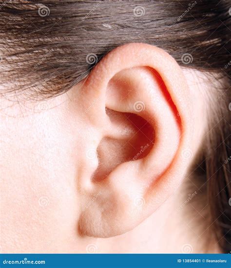Menschliches Ohr stockbild. Bild von anatomie, sauber - 13854401