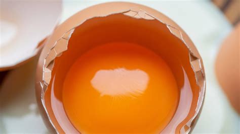 manfaat kuning telur omega  kesehatan  kelebihannya