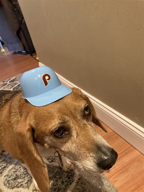 how to get spores off my head look outside