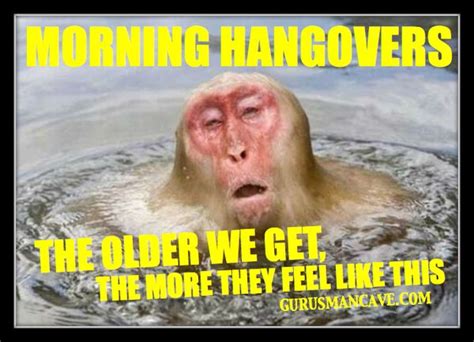 Hangover Memes - Funny Hang Over Pics