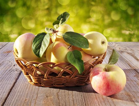 basket  apples  stock photo public domain pictures