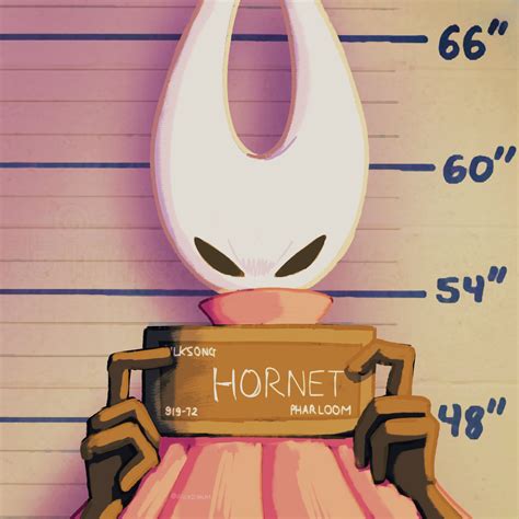 hornet hollow knight    drawn  alicezakat danbooru