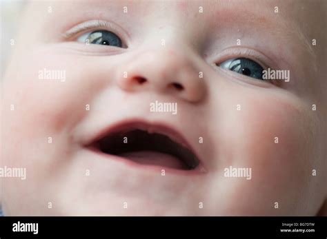 month  baby boy stock photo alamy