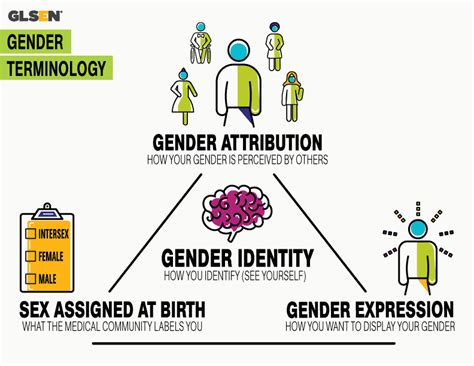 international transgender day  visibility resource center