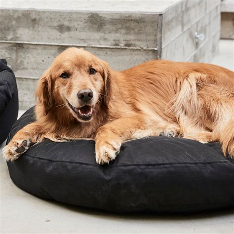 Pillow Dog Beds – K9 Ballistics