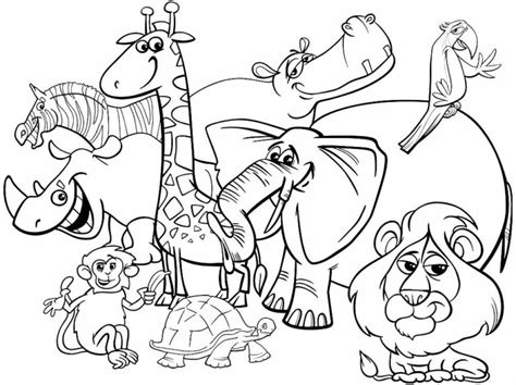 Desenhos Safari Para Imprimir