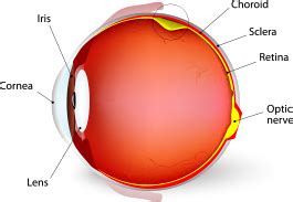 retinal detachment tulsa retina consultants