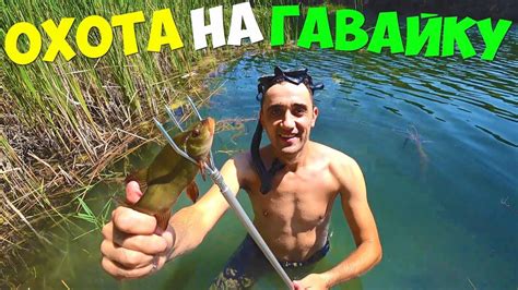 Подводная охота на гавайку! Ленок Готовлю шашлык из свиного языка ...
