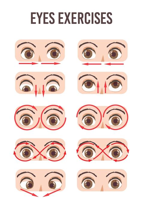 Exercicios Para Os Olhos - conjunto de exercícios para os olhos. movimento para relaxamento dos ...