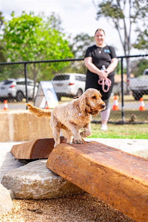 Englefield Road Dog Park Grand Opening! - Cr Sarah Hutton