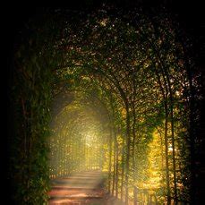 ФотоКласс - лучшие фото! — Природа и пейзажи | OK.RU