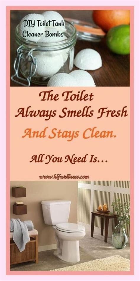 Fresh and Clean: The Ultimate Toilet Solution